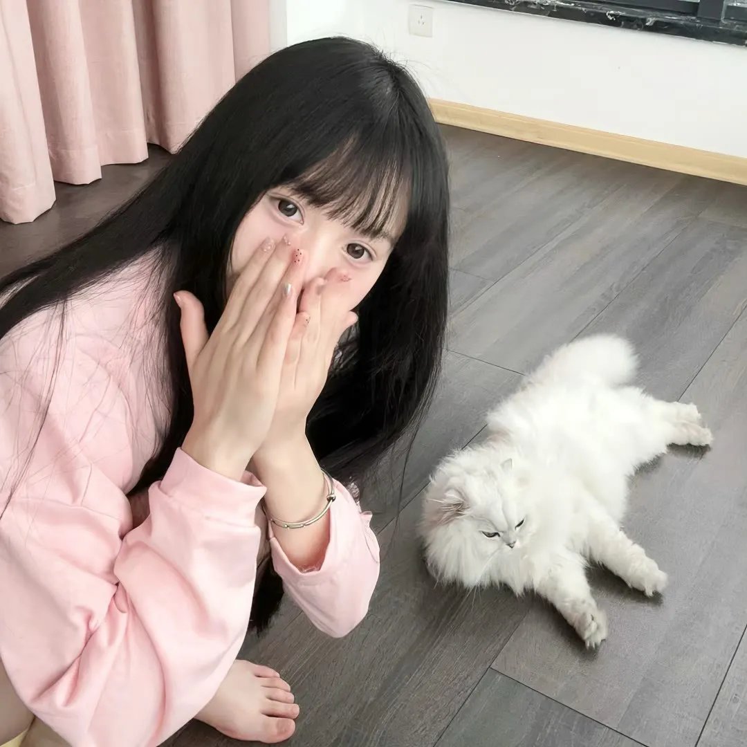 合约谋杀案